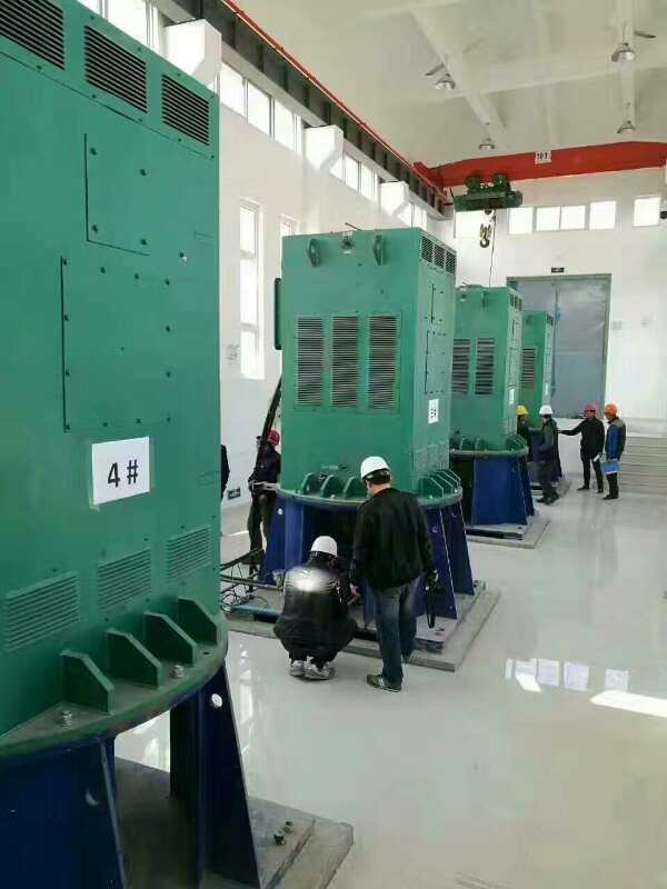 襄城某污水处理厂使用我厂的立式高压电机安装现场