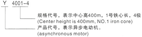 西安泰富西玛Y系列(H355-1000)高压襄城三相异步电机型号说明